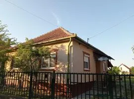 Hattyú vendégház Poroszló
