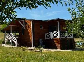 Stefanello House