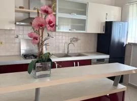 Apartman Dragan