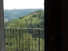Baita del bosco