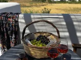 Studio Tolakis
