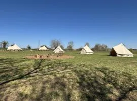 Glamping and Camping at The Orchard