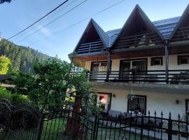 Pensiunea Montan，位于杜劳的旅馆