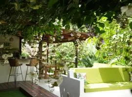 La Merecida, Nature Reserve, Coffee Cocoa Wellness