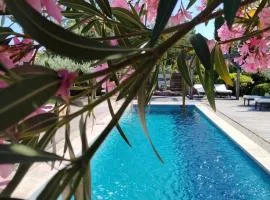 Guesthouse Le Mas de Cotignac