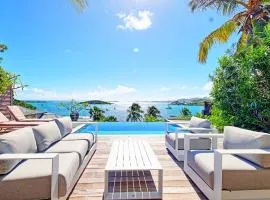 Villa de rêve avec piscine à débordement - FR-1-734-56