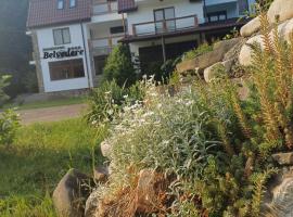 Belvedere Gresu, hotel v destinaci Lepşa