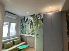 Emily in Athens - Central Veranda flat with Starlink