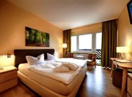 Panorama Hotel Oberwiesenthal