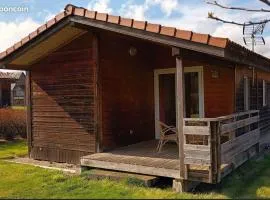 Chalet familial à proximité de Vulcania