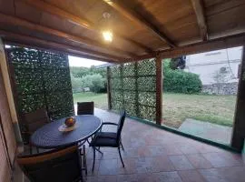 Apartman Forest Queen