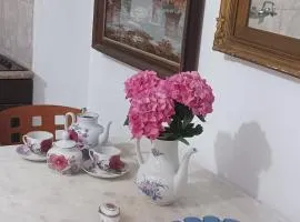 Roula V