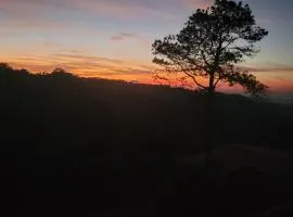 Domo Green Life montaña