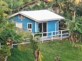 Blue haus
