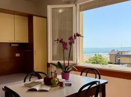 Residence Carioca