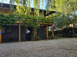 Vila Curtea de Arges