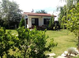 La Casuța - 500sqm garden theseaside，北瑪麥亞&ndash;納沃達里的木屋