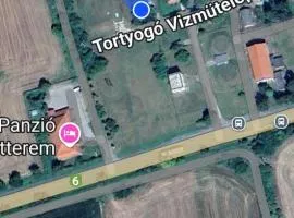 Zöldlak