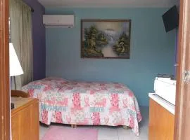 Aruba Private Studios