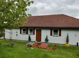 Apartament Izerskie Gaje