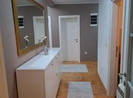Apartman Telep Novi Sad Family house with Garden & Free Parking
