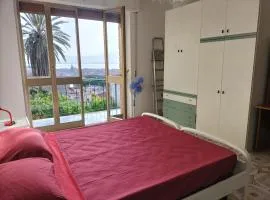Palma e Boungaville