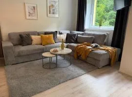 Apartmány New Forest Retreat - u lesa, s parkováním, 300Mbit internet