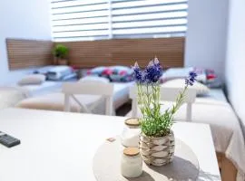Apartamenty 592 2