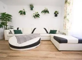 New Big City Center Apartment 4th floor no elevator