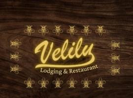 Hospedaje velilu, hotel en Ica