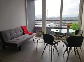 Central apartment in historic Barrio Yungay, en pleno centro de Santiago