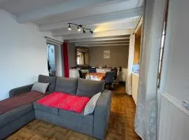 Maison de ville au Croisic avec WIFI et animaux admis - 4 personnes - FR-1-843-6