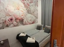 Spring Roses Downtown Boutique Hotel ON THE FAMOUS VÁCI FASHION STREET FREE COFFEE, TEE