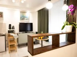 Mega COOL Flat France Suisse