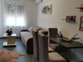 Apartman Goga 2