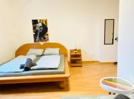 Elegant 3 Bedroom Shared Apt Convenient City Access