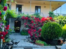 Guesthouse Mtkvari