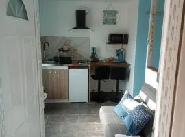Studio thème Oléron à Valdivienne