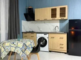 Tsalka Apartment