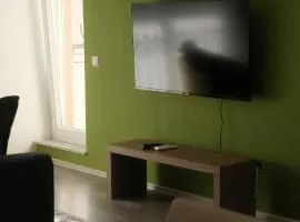 Green Apartment in Prishtina