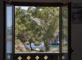 BIG RIVER HOUSE, Fronte Temo