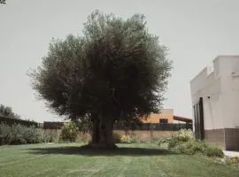 Masseria Gravame - Case Vacanza