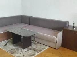 Tara 1