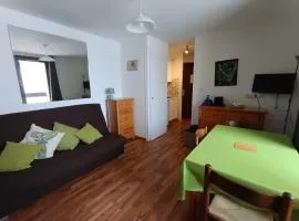 Appartement aux pieds des pistes - Parking - FR-1-445-77