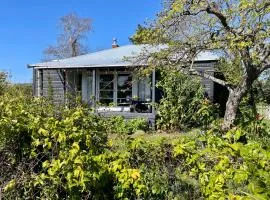 Havelock North Cottage on Organic Orchard