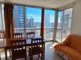 FLECHA - Fincas Arena