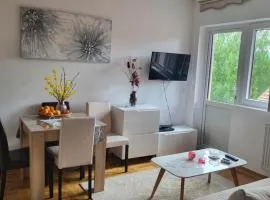 Apartman Stašenka