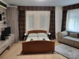 Bodza Apartman