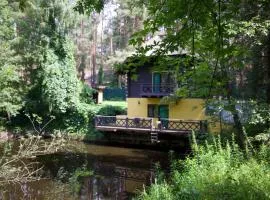 Dacha 5