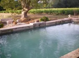 Domaine Le Clos Du Pavillon